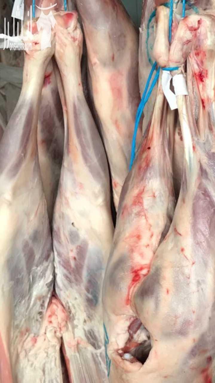 الأخوة الأعزاء الراغبين بشراء اغنام وعجول من اوكرانيا بأسعار تنافسيه كما يوجد لدينا دجاج ذبح اسلامي الأوزان من 800غرام الى 2200غرام للاتصال 00380733333030واتساب موبايل