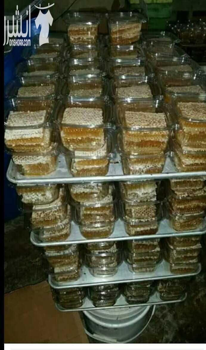عسل الشهد خلية نحل كامله عسل طبيعي ومكفول إنتاج مناحل العمايره قرى الشمال في اربد يتوفر عسل شهد وبكميات خصم خاص للجمله مع إمكانية التوصيل داخل اربد وعمان