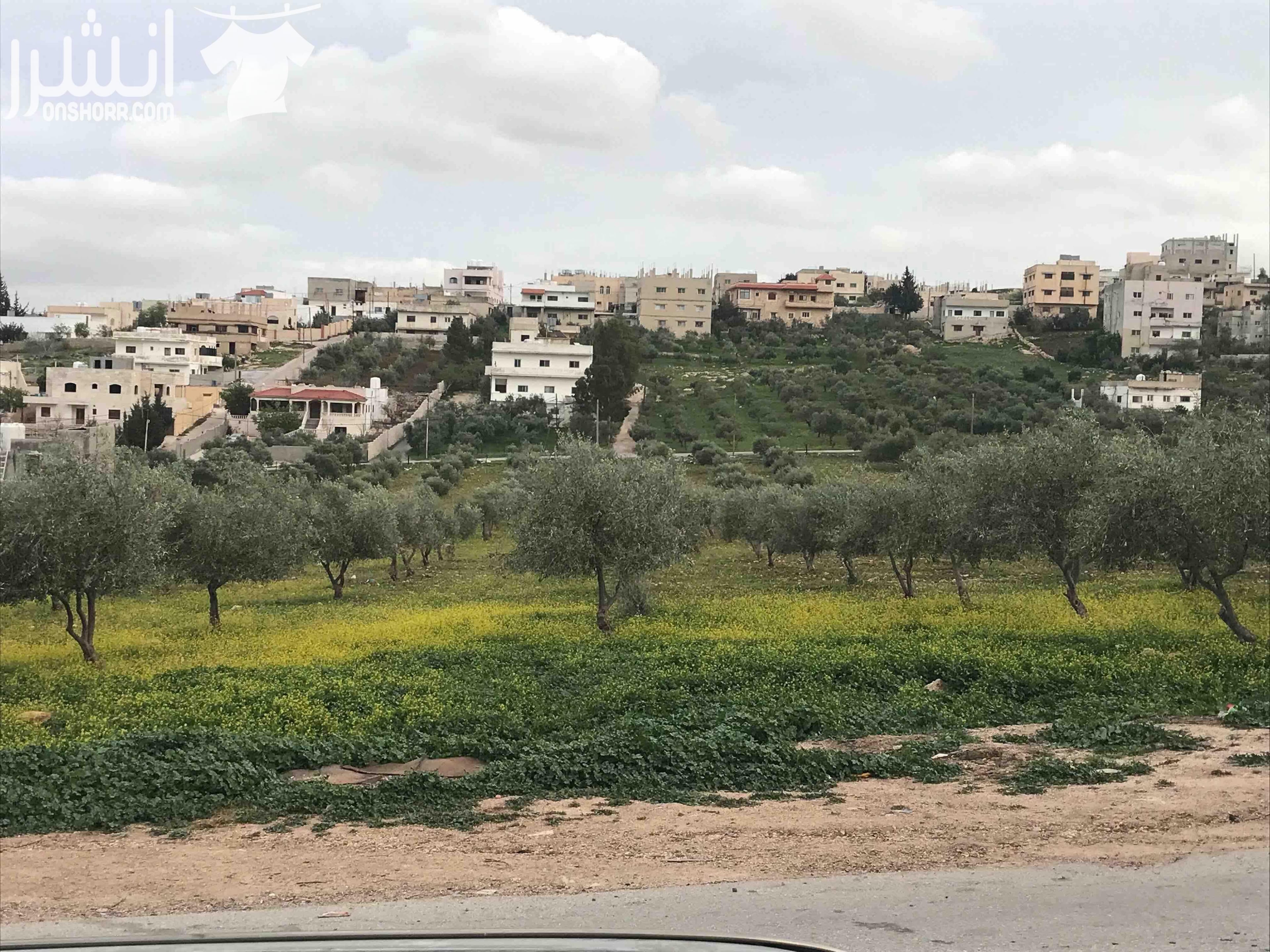 ارض للبيع في محافظة اربد في منطقة نعيمة صالحة للبناء او استخدام زراعي محصولها الزراعي ممتاز مخدومة (واصلها كهرباء و مياه و صرف صحي) يمكن شراء مساحة مجزئة و يمكن التفاوض بالاسعار المساحة الكاملة للارض...
