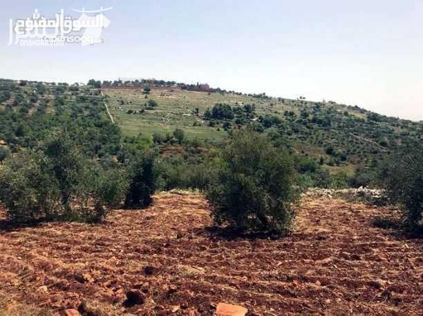 ارض للبيع ساكب _جرش تصلح لكافه اعمال العمار.. شاليهات فلل او مراكزز تجاريه.. مساحه الارض 4 دونمات مقبال محميه الغزلان
