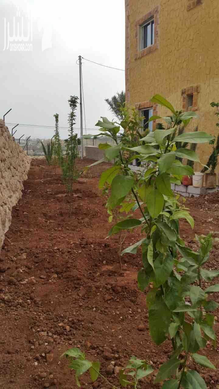شالية للبيع .... يقع على 3,5 دونم مع مسبح وترس 500 متر وشلال وباربكيو وزرب وفرن عربي مزروع بالاشجار والنخيل والنجيل والورود وموقف سيارات 500 متر معبد . خمس غرف نوم ماستر مع ضيوف 60 متر وسفره وضيوف سي...
