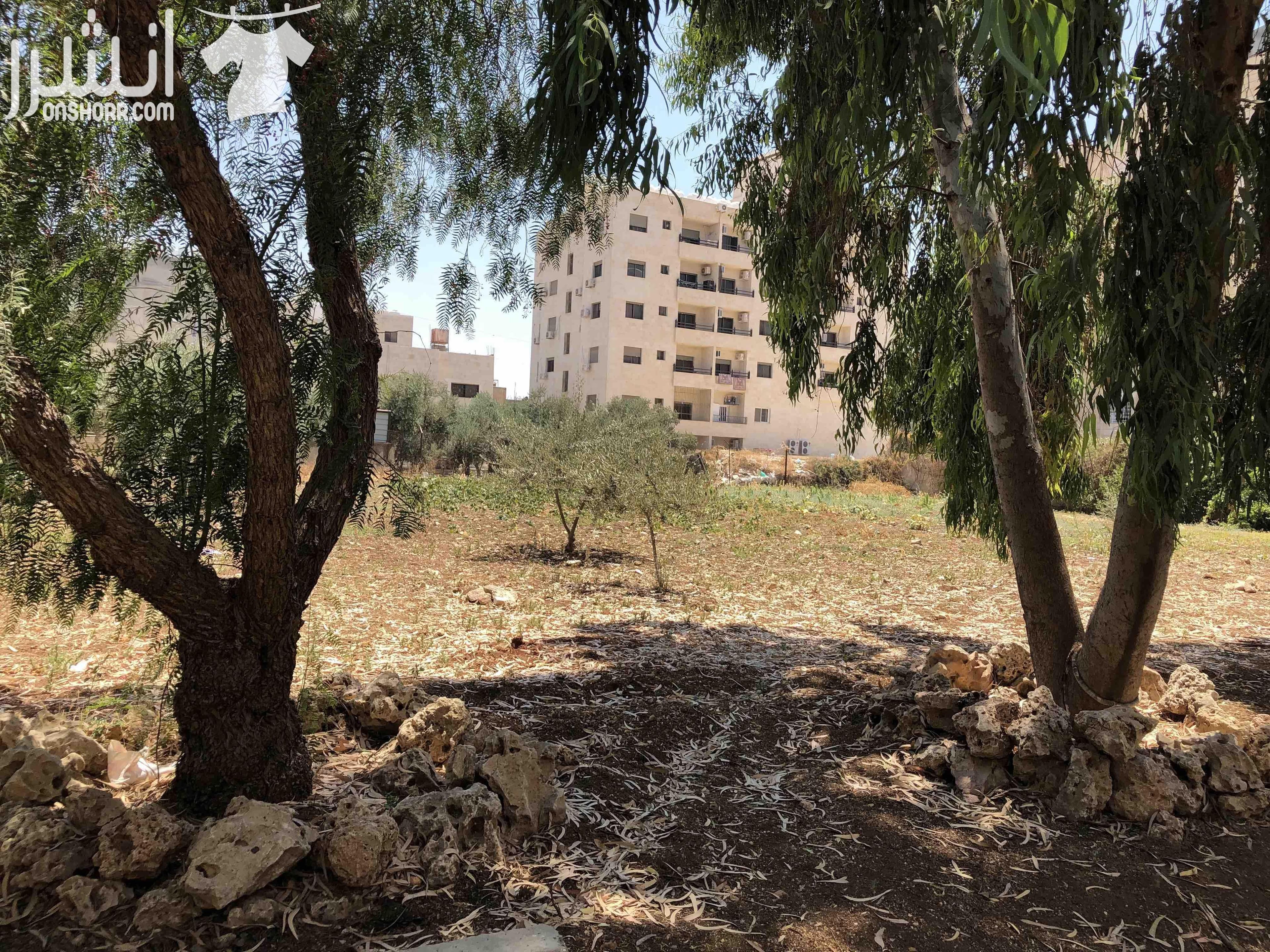 المساحة: ١ دونم الموقع: مجمع عمان الجديد خلف مطعم الشاورمجي قرب سكن بيسان ملاحظة: الارض قائمة على شارع مغلق المالك: غالب المومني ابو احمد