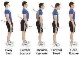 Hi I am Sports Rehabilitation therapist spiclist in Knee injury and also provides a fowloing services - Knee musculoskeletal Injuries - Spin Problems - Manual Therapy - Sports Injeries - Correcti...