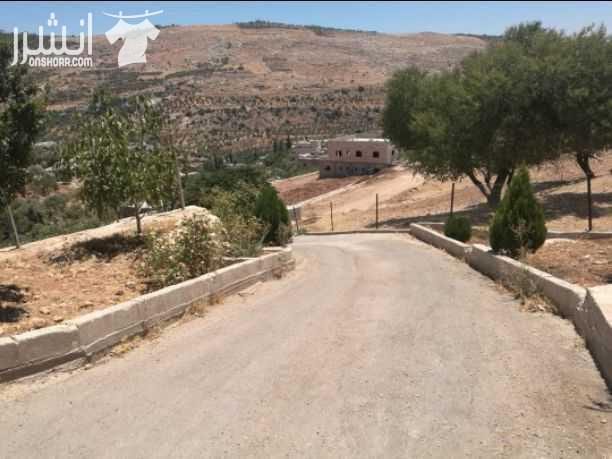 مزرعه للبيع وادي السلط نبع حريز مساحه 2650م...مسبح10×5 بيت 140م تشطيب ديلوكس.. حمام خارجي مع شاور.. مزروعه عمر الشجر8سنوات.. كوشان منفصل.. للاستفسار 00962792390050
