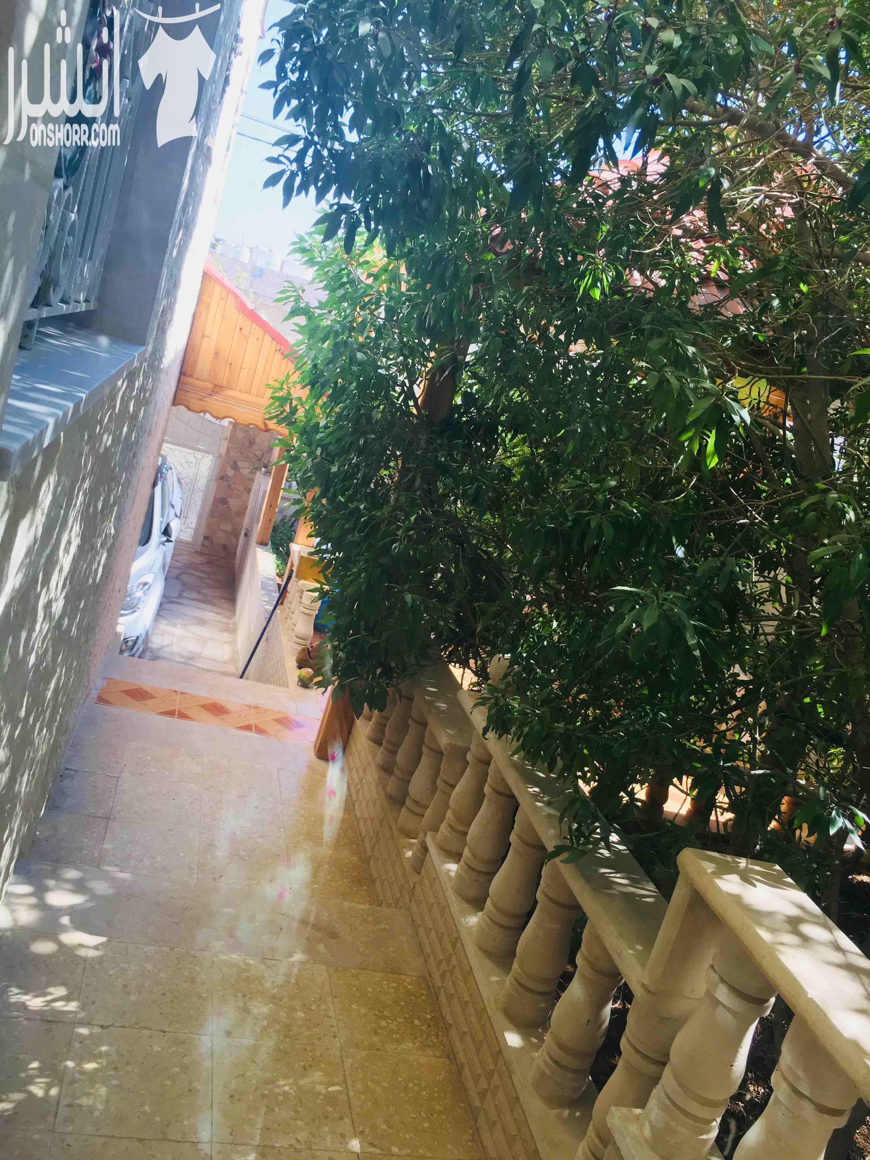 عماره للبيع /ياجوز /حي الرشيد /ضاحية الملك عبدالله الثاني عماره طابقين مكونه من ثلاث شقق الطابق الاول شقه مساحتها210م (مطبخ أمريكي و صاله/ غرفه ضيوف حمام/ ثلاث غرف نوم ماستر ) الطابق الثاني شقتين...