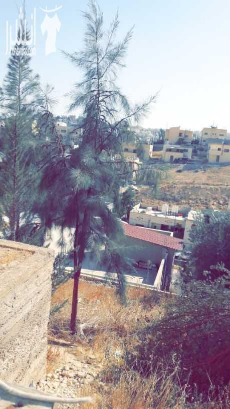 بيت مستقل للبيع وعليه ارض
٣غرف
٢ حمامين
مطبخ
العنوان : طريق ياجوز حي الرشيد خلف محكمة المدينه للاستفسار الاتصال على الرقم 0795900685
