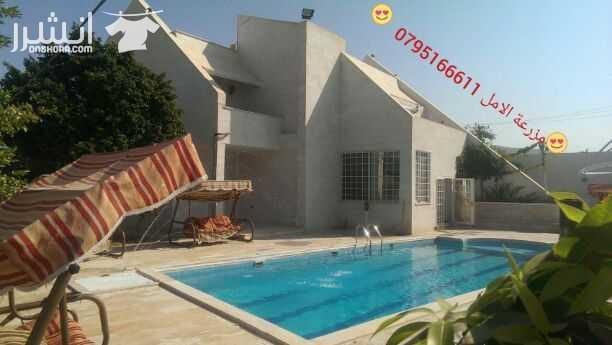 مزرعة الامل للاستفسار الاتصال على م . عطية ساهر 0795166611 او عن طريق الواتساب مزرعة للايجار تقع بالشونة الجنوبية اول طريق جسر الملك حسين خلف البنك الاسلامي الاردني بالقرب من اشارات الشونه تبعد عن عبد...
