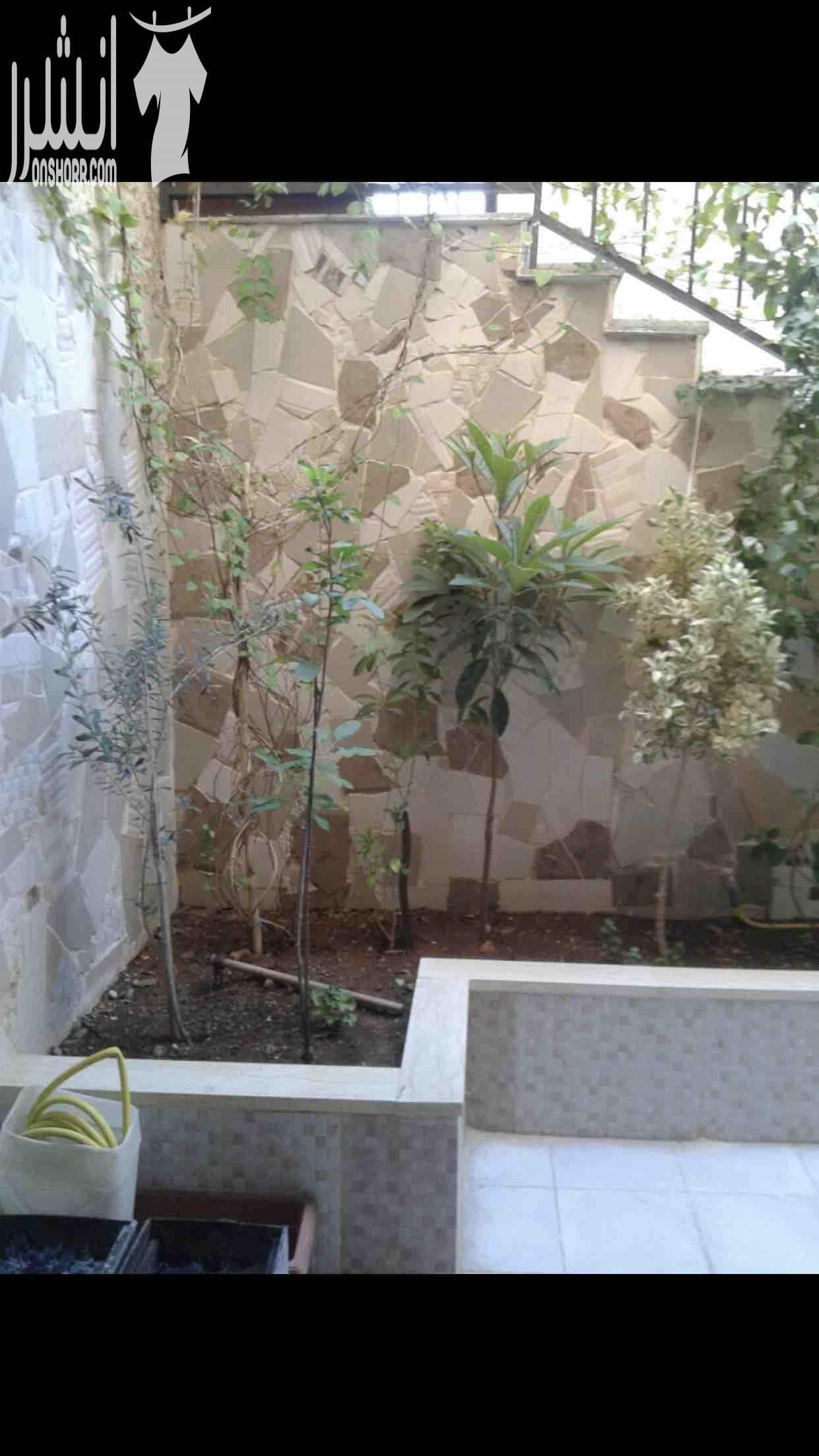 شقة شبه ارضي تسوية مشمسة بضاحية الرشيد حي الكلية الاسلامية نزول الجاذبية المساحة ١٧٢ م مربع مع تراس امامي بمساحة ٥٠ متر مربع مصعد مستودع غرفة غسيل كراج مدخلين مدخل خاص ومدخل من العمارة عمر البناء ٤ سن...