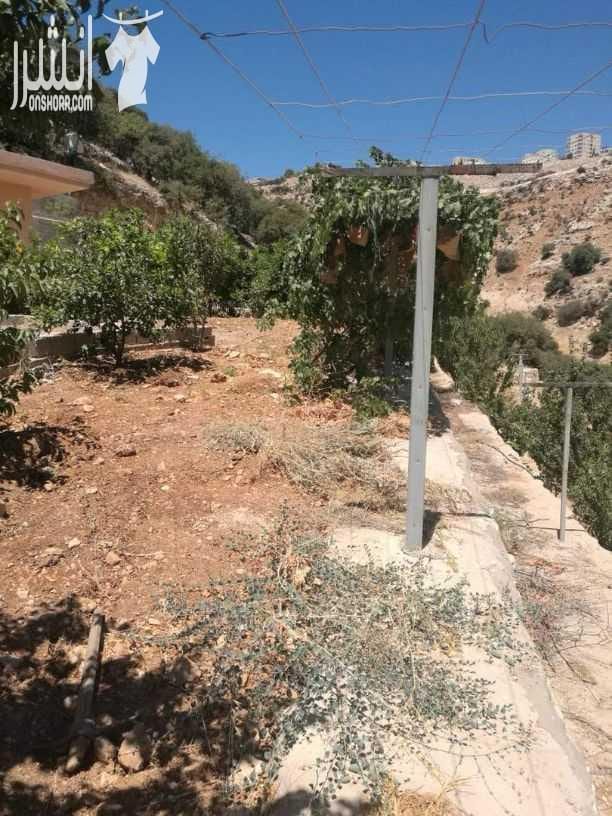 مزرعه للبيع وادي السلط نبع حريز مساحه 2650م...مسبح10×5 بيت 140م تشطيب ديلوكس.. حمام خارجي مع شاور.. مزروعه عمر الشجر8سنوات.. كوشان منفصل.. للاستفسار 00962792390050