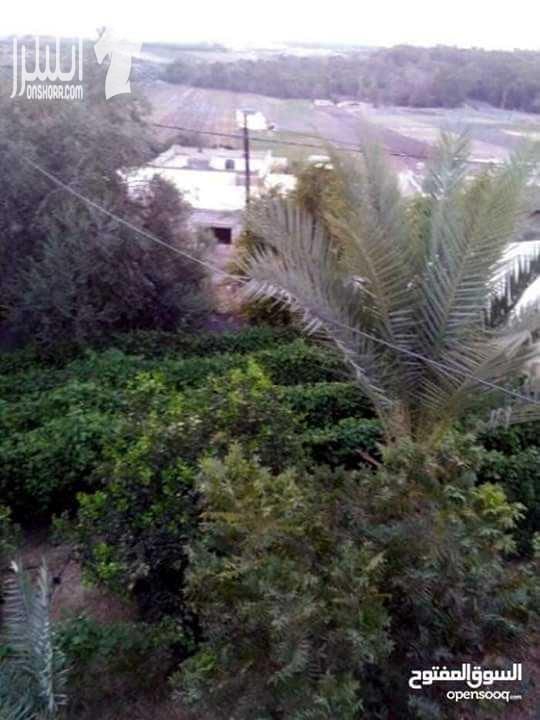 ارض للبيع مساحتها ٢ دونم موقها في وادي الريان قريب الشارع الرئيسي وملاصق للقناة الغور ( حارة بلاش ) .. يوخد فيها اشجار مثمرة كالزيتون والليمون والبرتقال والبوملي والمندلينا والكريفوت والتين والصبر ورم...