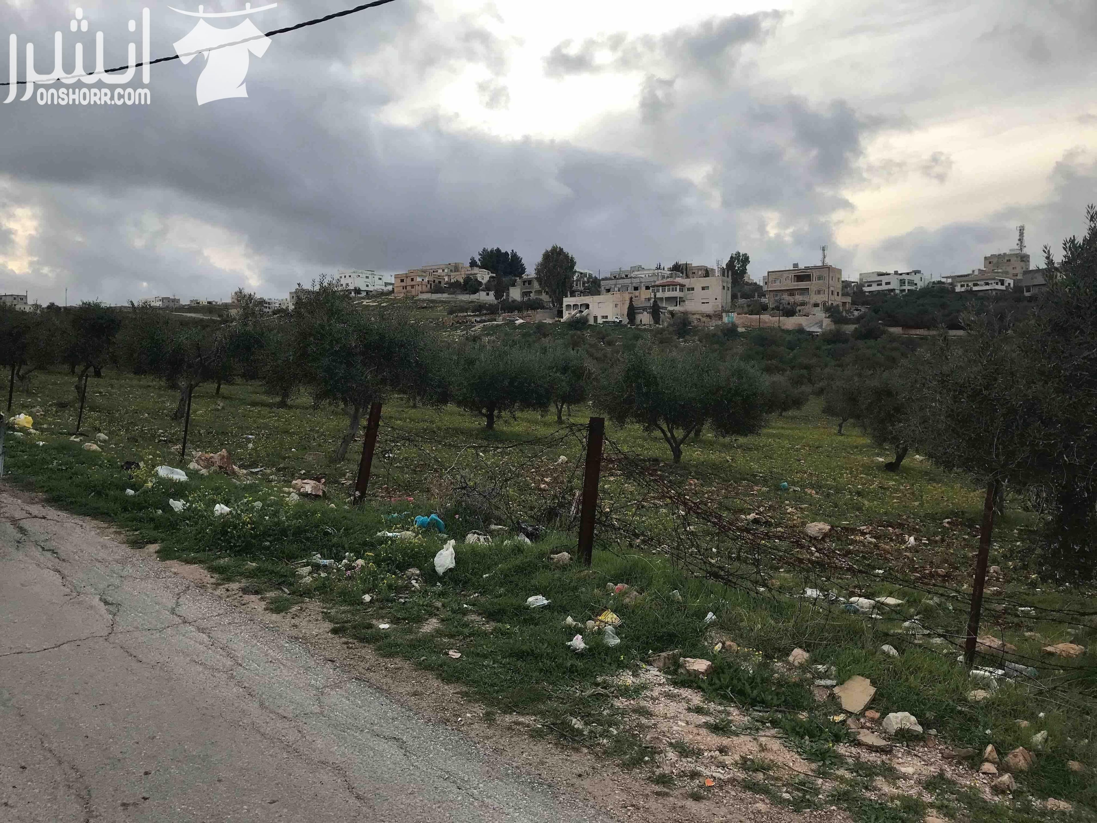 ارض للبيع في محافظة اربد في منطقة نعيمة صالحة للبناء او استخدام زراعي محصولها الزراعي ممتاز مخدومة (واصلها كهرباء و مياه و صرف صحي) يمكن شراء مساحة مجزئة و يمكن التفاوض بالاسعار المساحة الكاملة للارض...