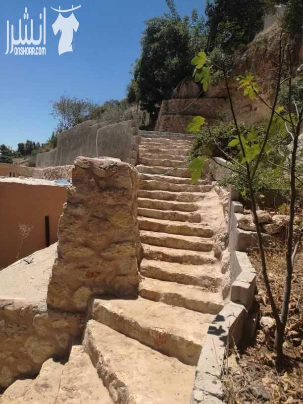 مزرعه للبيع وادي السلط نبع حريز مساحه 2650م...مسبح10×5 بيت 140م تشطيب ديلوكس.. حمام خارجي مع شاور.. مزروعه عمر الشجر8سنوات.. كوشان منفصل.. للاستفسار 00962792390050