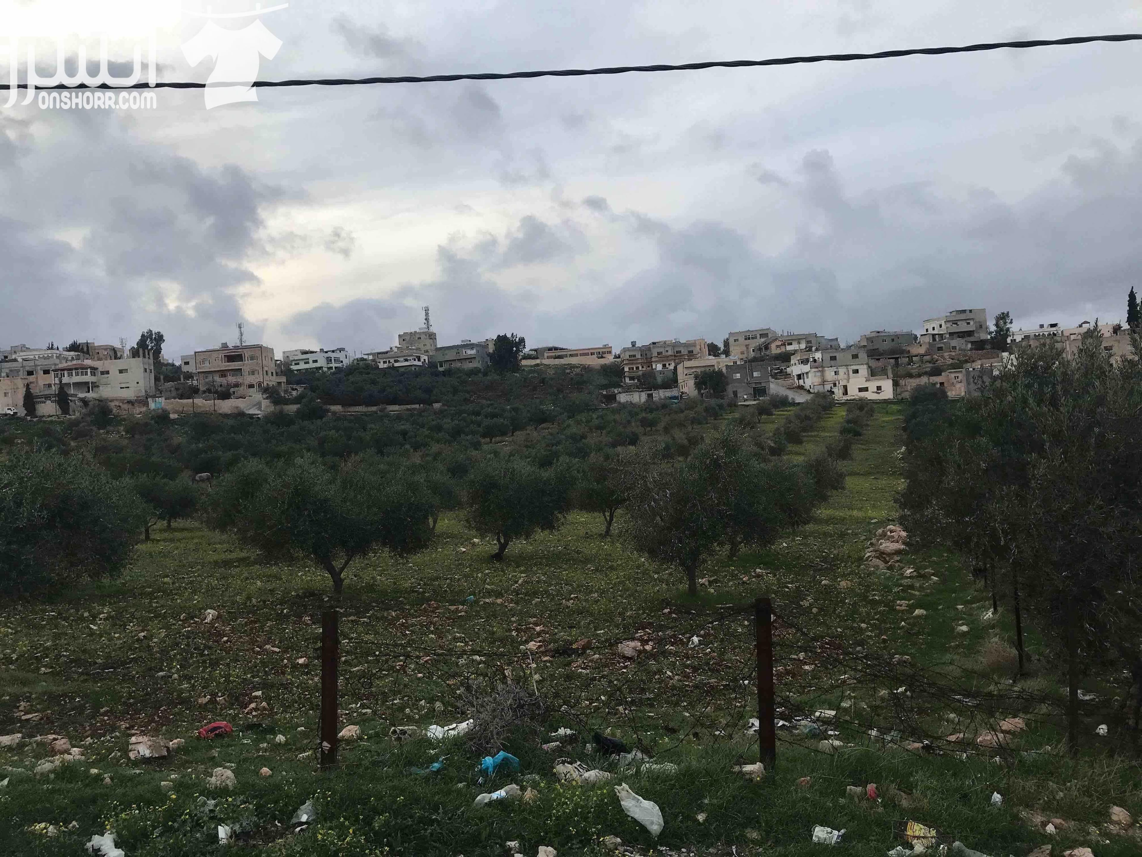 ارض للبيع في محافظة اربد في منطقة نعيمة صالحة للبناء او استخدام زراعي محصولها الزراعي ممتاز مخدومة (واصلها كهرباء و مياه و صرف صحي) يمكن شراء مساحة مجزئة و يمكن التفاوض بالاسعار المساحة الكاملة للارض...
