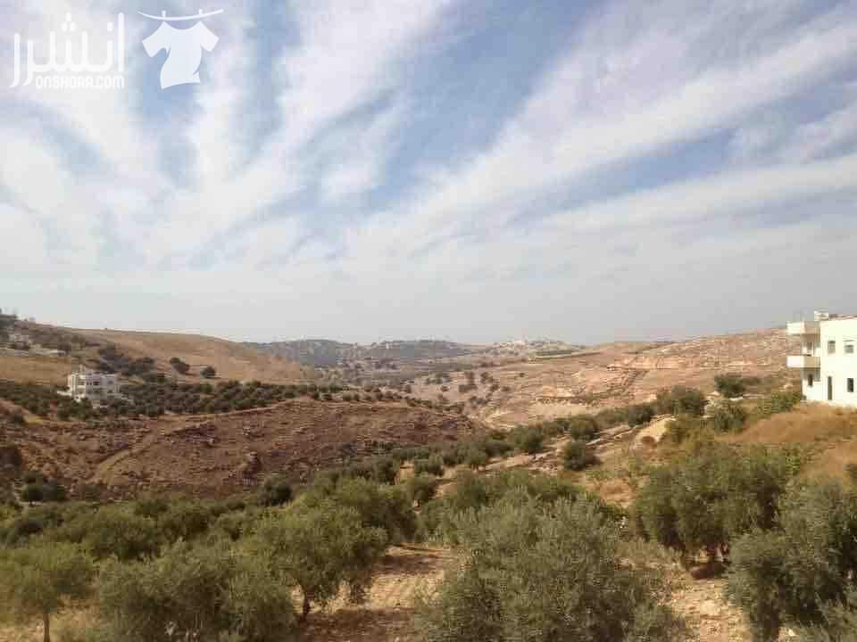 قطعة ارض في مرج الحمام البحاث حوض المشبك مساحتها 500م مطله على قصر الامير محمد منطقة سكنية هادئه ارض مستوية و مربعة سكن ج للاستفسار نبيل ساري:0795699646