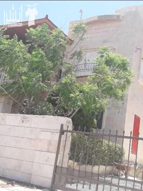 بيت مستقل يتكون من طابقين الارض ٧١١م الطابق الاول ١٠٠م غرفة نوم كبيرة صالة مع مطبخ امريكى وحمام ط ٢ ٢٥٠م مع الترس ٣نوم ١ماستر ٣حمامات صالة وصالون مطبخ مع جلسة فاير بليس حديقة مطبخ كبيرة حدائق امامي...