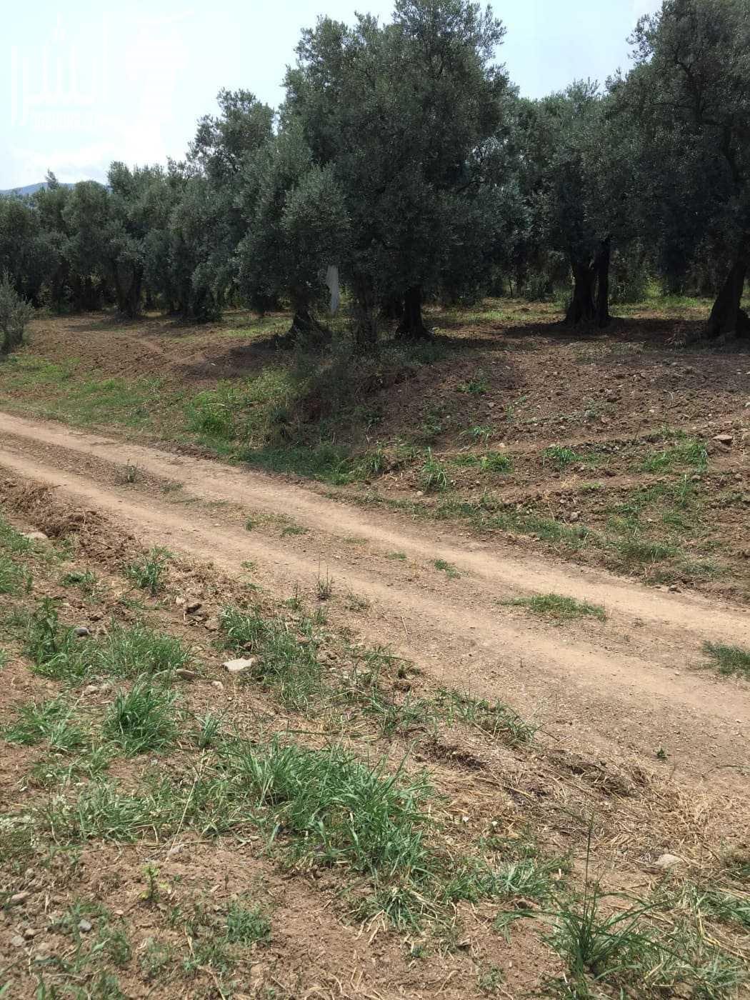 بأرخص الاسعار وفي مواقع استراتيجية من شركة Homemark في عرضها الجديد : 1.أرض في اسطنبول الاوربية تبعد عن بحر مرمرة 3 د بدفعة 15500 $ وأقساط مريحة تستمر سنة واحدة فقط 2.أرض في بورصة بمساحة 4919 م...