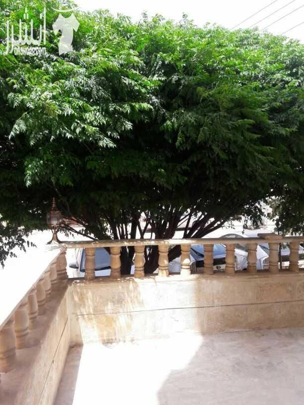 شقة ارضية مع ترس للبيع .. مقابل العيادات الخارجية لمستشفى حمزة منطقة هادئة جدا .. مساحتها الداخلية 135 م .. ثلاث غرف نوم ..ثلاث حمامات ..ومطبخ راكب جديد وحمامات تم عمل صيانة لها وتغييرها .. تشطيبات د...