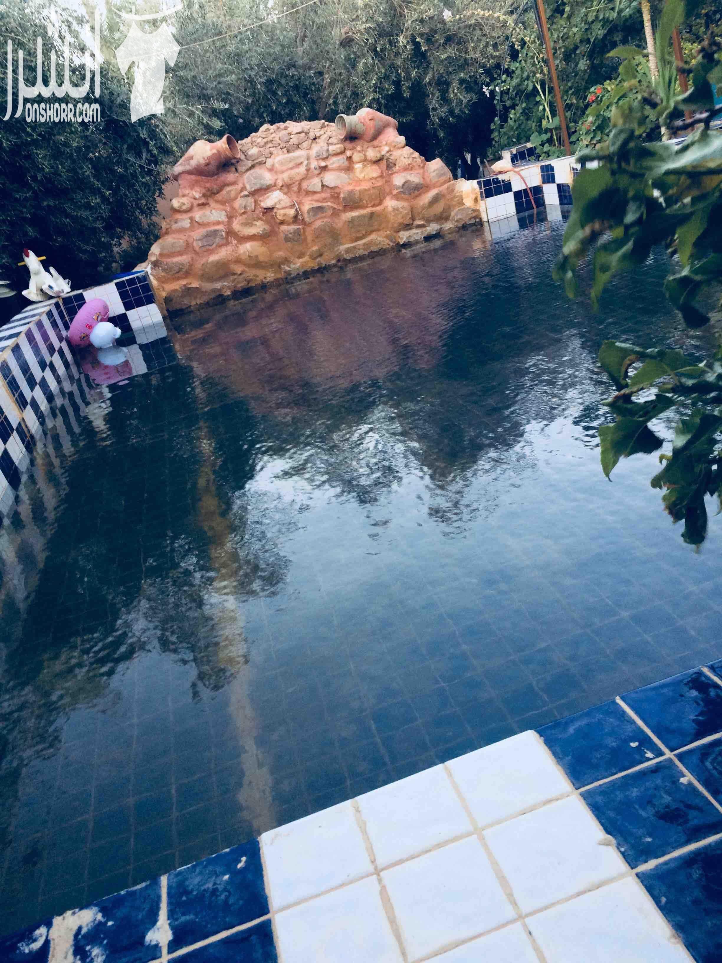 فيلا مستقله للبيع الفيلا تحتوي على ثلاثة بيوت مساحة البيت الواحد ١٠٠متر ومساحة الارض ٤دنمات مزروعة بأشجار مثمره من مختلف الأنواع وعدد الأشجار ٢٠٠شجره ويحتوي بركة سباحة وشلال ماء وأربع برندات وكراج للس...