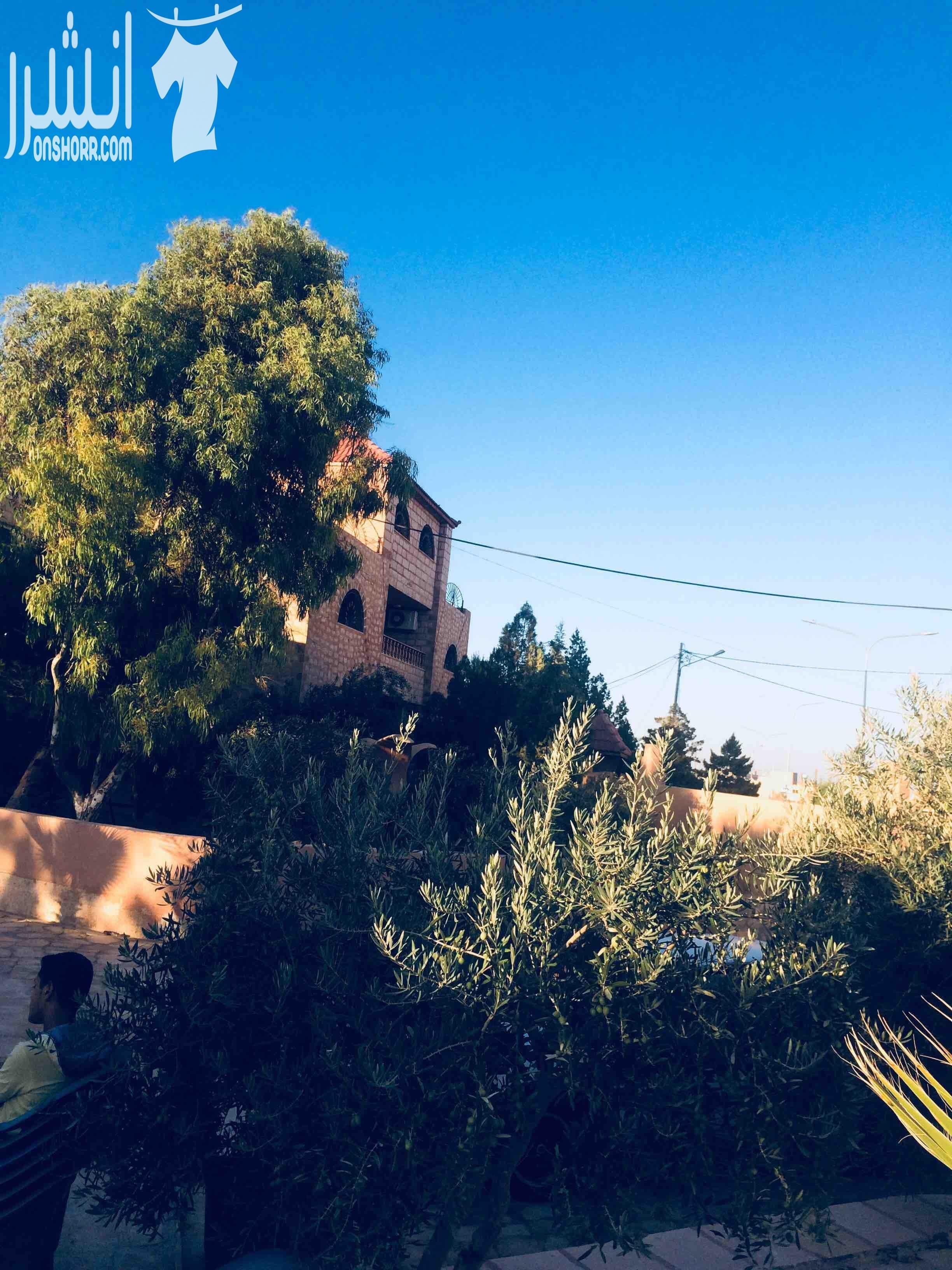 فيلا مستقله للبيع الفيلا تحتوي على ثلاثة بيوت مساحة البيت الواحد ١٠٠متر ومساحة الارض ٤دنمات مزروعة بأشجار مثمره من مختلف الأنواع وعدد الأشجار ٢٠٠شجره ويحتوي بركة سباحة وشلال ماء وأربع برندات وكراج للس...