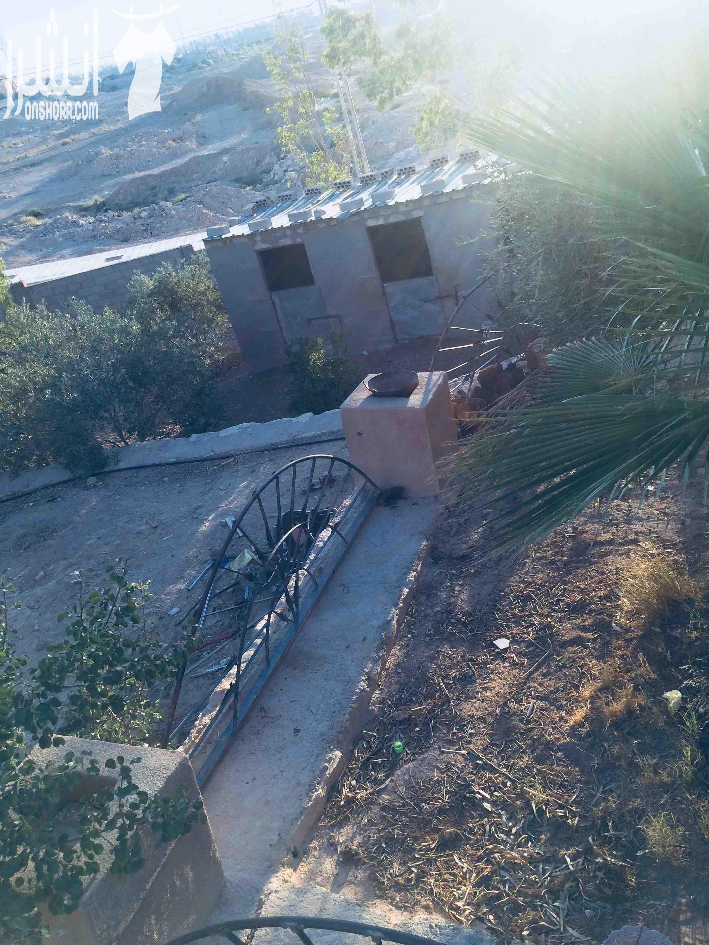 فيلا مستقله للبيع الفيلا تحتوي على ثلاثة بيوت مساحة البيت الواحد ١٠٠متر ومساحة الارض ٤دنمات مزروعة بأشجار مثمره من مختلف الأنواع وعدد الأشجار ٢٠٠شجره ويحتوي بركة سباحة وشلال ماء وأربع برندات وكراج للس...
