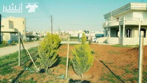 فيلا للبيع موقع مميز جدا على شارعين (شارع الاربعين) (وشارع العشرين) مساحة البيت 800 متر ( اربعة واجهات حجر )
خالص منها شقه غرفتين وحمام ومطبخ سوبر ديلكس بلكونه كبيره
(( نضام امريكي ))
#غرفه تحت ا...
