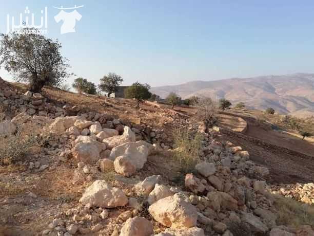 السلط_منطقة_الصبيحي أرض للبيع مساحتها 4 دونمات و500متر تصلح للمزرعه مميزة وكافة الخدمات متوفرة على شارعين وموقع هادئ جدا في منطقة مزارع #بسعر50الف_قابل_للتفاوض..