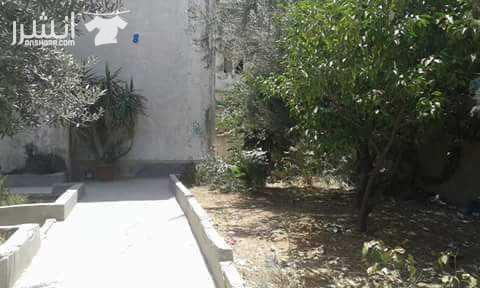 عمارة للبيع