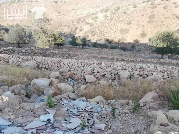 السلط_منطقة_الصبيحي أرض للبيع مساحتها 4 دونمات و500متر تصلح للمزرعه مميزة وكافة الخدمات متوفرة على شارعين وموقع هادئ جدا في منطقة مزارع #بسعر50الف_قابل_للتفاوض..