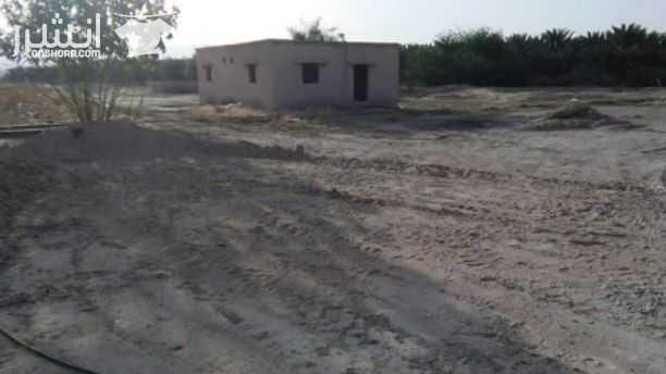 ارض للبيع تصلح للزراعة مساحتها 78 دونم مع توفر بركة مياه داخل الأرض بسعر مغري للغاية الرجاء التواصل للمهتمين