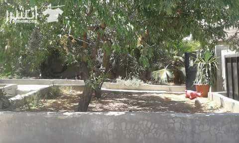 عمارة للبيع