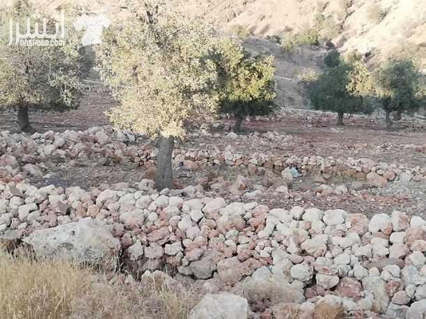 السلط_منطقة_الصبيحي أرض للبيع مساحتها 4 دونمات و500متر تصلح للمزرعه مميزة وكافة الخدمات متوفرة على شارعين وموقع هادئ جدا في منطقة مزارع #بسعر50الف_قابل_للتفاوض..