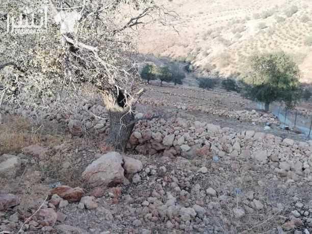 السلط_منطقة_الصبيحي أرض للبيع مساحتها 4 دونمات و500متر تصلح للمزرعه مميزة وكافة الخدمات متوفرة على شارعين وموقع هادئ جدا في منطقة مزارع #بسعر50الف_قابل_للتفاوض..