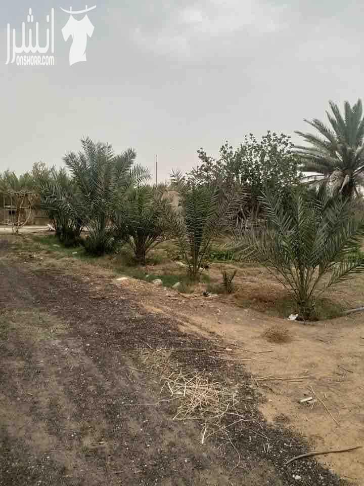 مزرعة للبيع ١٧ دونم مزروعة زيتون ، بئر ارتوازي مرخص خدمة كهرباء وماء ، غرفة للحارس للاستفسار ٠٧٧٦٥٣١٦١٦