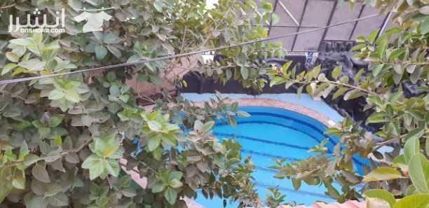 مزرعة مميزة ذات خصوصية عالية للعائلات
في منطقة الفنادق البحر الميت
فيللا طابقين، غرفتين نوم، حمامين،مطبخ مجهز بالكامل، مكيفة الكامل.
مسبح خاص و معقم باجود المواد الكيميائية.
و جلسات عائلية ذات خص...