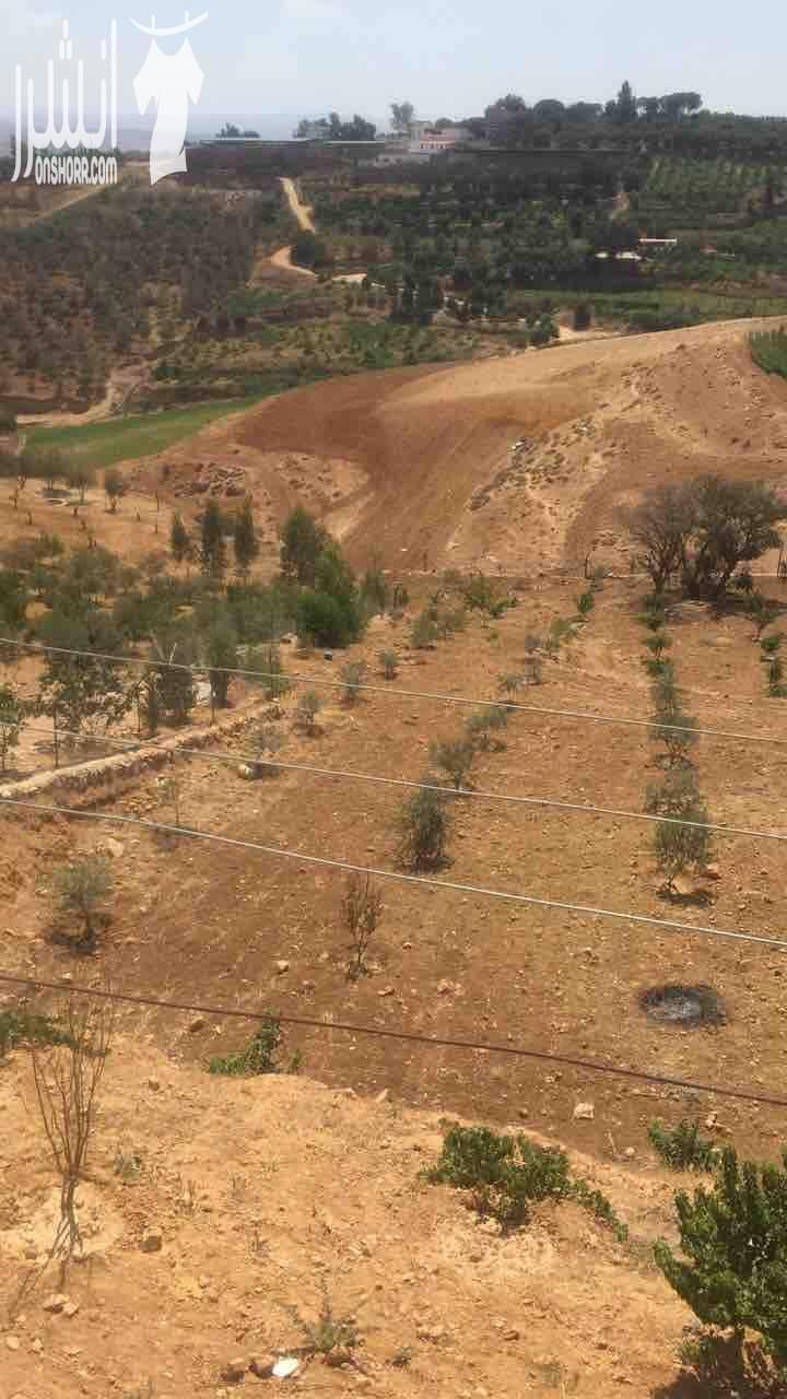 مزرعة مميزة في جرش للايجار مبيت او بدون مبيت مسبح 8*4 مع اضاءة كرة سلة كرة طائرة قعدات خارجية برندات اطلالة مميزة اجواء مميزة للشوي مكان للزرب مكان للعب الاطفال اسعار حسب الايام
