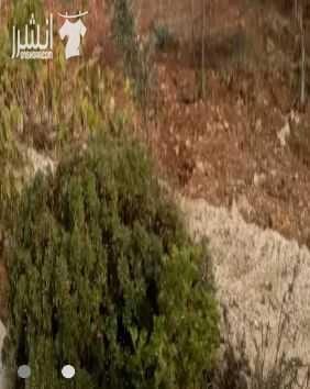 ((بالاقساط بالاقساط اوكاش اوبدل)) بيت للبيع مساحته 305م الاول سوبر .الثاني غير كامل. نفس المساحه. على دونم ارض طريق مادبا. بالقرب من الجامعه الالمانيه. بعيد عن الريئسي 250 متر. على شارعين. كوشان مست...