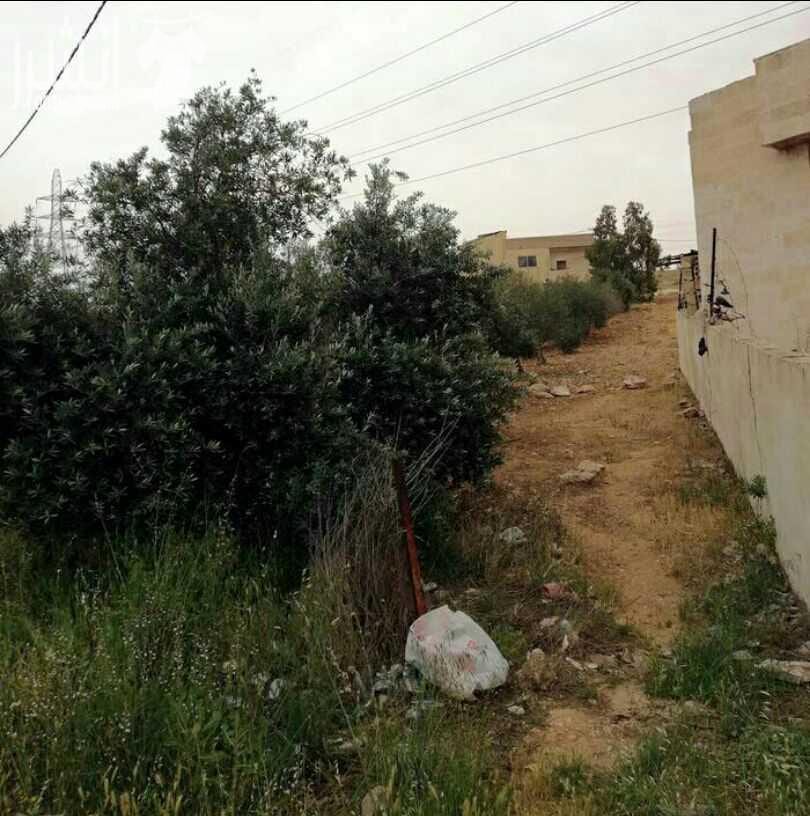 اقساط....اقساط... او البدل او الكاش. (((دفعه 70 الف وقسط الباقي)).بيت للبيع مساحه 305م.ارض دونم. بالقرب من الجامعه الالمانيه.طريق مادبا. على شارعين مزروع زيتون. او بدل بشقه.