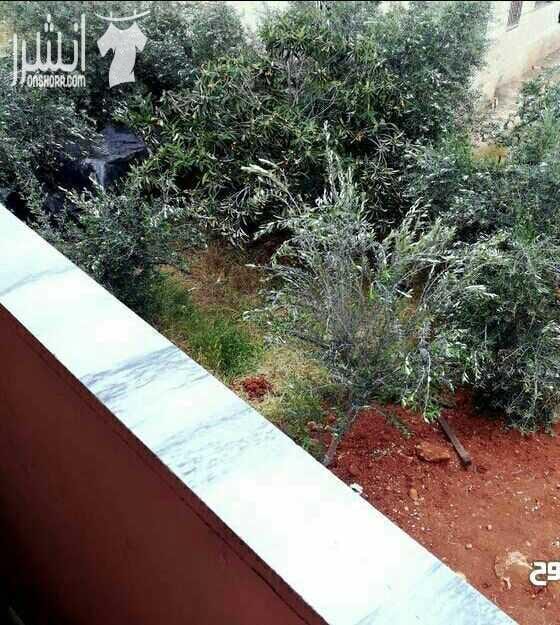 للبيع بيت كاش او بدل بشقه .اودفعه اكثر من نصف الثمن والباقي اقساط.
بيت مساحته 305 م على ارض دونم . البيت عباره عن شقتين كبار مع بعض. سوبر
على شارعين.كوشان مستقل
السعر 130 الف قابل للتفاوض.