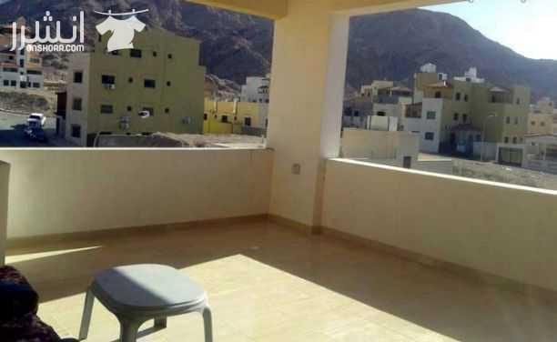 شقة مفروشة جديدة للبيع في العقبة
منطقة التاسعة خلف المسجد طابق ثاني هندسي 2 نوم صالون كبير مطبخ راكب ترس قرميد 32 متر ذات إطلالة لم تؤجر نهائيا المساحة الإجمالية 109 متر السعر 38000 مع الاثات 36 بدون...