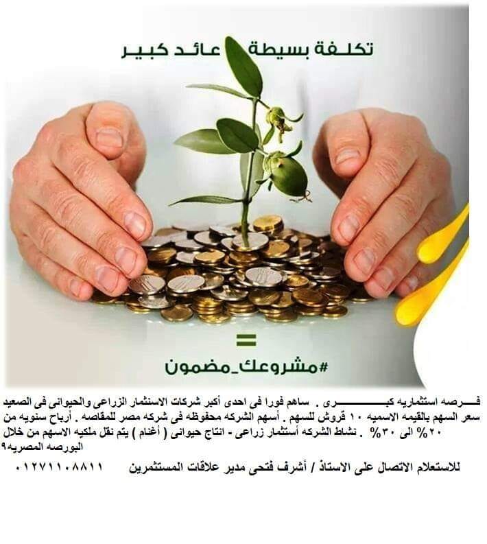 حضرتك نحن شركة مساهمة مصرية مركزها الرئيسى فى مصر الجديدة . تأسست في الأول من يناير 2017 . نشاط الشركة زراعي وحيواني .أرض الشركة على الطريق الصحراوي الغربي بمركز ملوى محافظة المنيا. مساحه الارض 3000 ف...