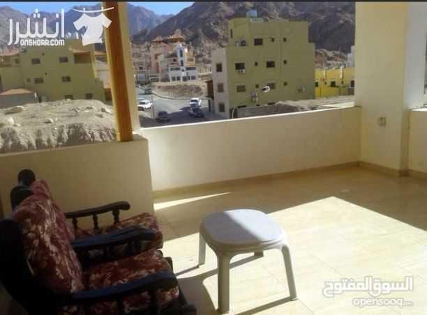 شقة مفروشة جديدة للبيع في العقبة
منطقة التاسعة خلف المسجد طابق ثاني هندسي 2 نوم صالون كبير مطبخ راكب ترس قرميد 32 متر ذات إطلالة لم تؤجر نهائيا المساحة الإجمالية 109 متر السعر 38000 مع الاثات 36 بدون...