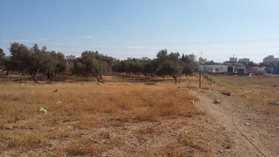 الأردن - عمان
ارض للبيع في الجويدة/ المستندات و ام زعرورة - قرب مسجد ابو بكر الصديق
القرية: الجويدة
حوض: المستندات و ام زعرورة
الموقع: المنطقة الواقعة مقابل نادي الرماية الملكي - قرب مسجد ابو بكر...