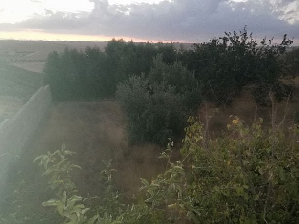 فيلا للبيع طريق المطار
فيلا للبيع مكونه من طابقين كل طابق 350 متر بركه سباحه تدفئه اباجورات حمايه
مساحه الارض ثلاث دونمات 750 متر
كراجات سيارات جلسات مميزه منطقه هادئه قرب الخدمات الموقع اراضي جنوب عم...