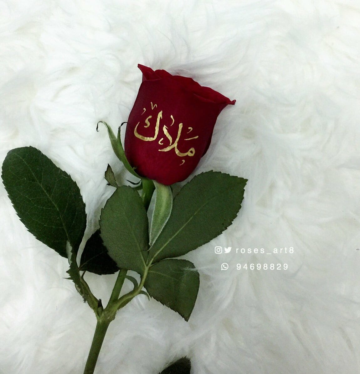 لا تدور ولا تحتار عند #خليك#غير بتلاقي تصميمك
سواء اسمك/ صورتك/ شخصية فيلمك المفضل/ couple/ بلايز حمل/ بيبي/ تخرج/ عيد ميلاد/ طباعة ع الورد/ طباعة ع الشموع/ طباعة ع البلالين الهيليوم