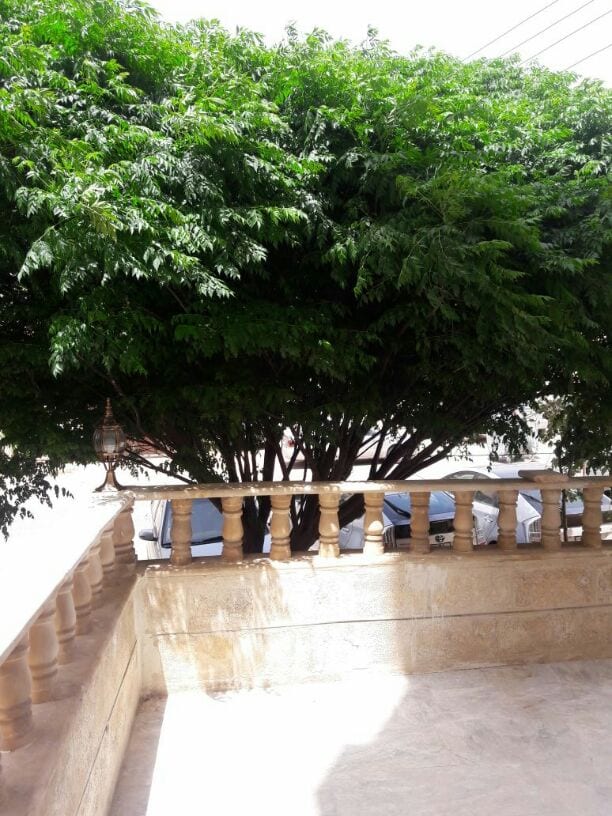 شقة ارضية مع ترس للبيع ..
مقابل العيادات الخارجية لمستشفى حمزة منطقة هادئة جدا ..
مساحتها الداخلية 135 م ..
ثلاث غرف نوم ..ثلاث حمامات ..ومطبخ راكب جديد وحمامات تم عمل صيانة لها وتغييرها ..
تشطيبات د...