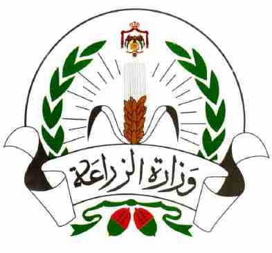 ريح حالك من المغشوش
لا تنسَ أنك شاهدت هذا الإعلان في عنكبوت
زيت زيتون جبلي بكر ممتاز معصور...