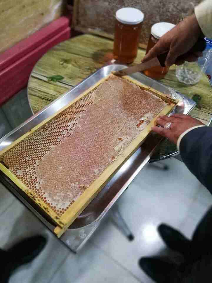 مناحل سوار العسل لمنتجات النحل
لا تنسَ أنك شاهدت هذا الإعلان في عنكبوت
لدينا جميع منتجات النحل ال...