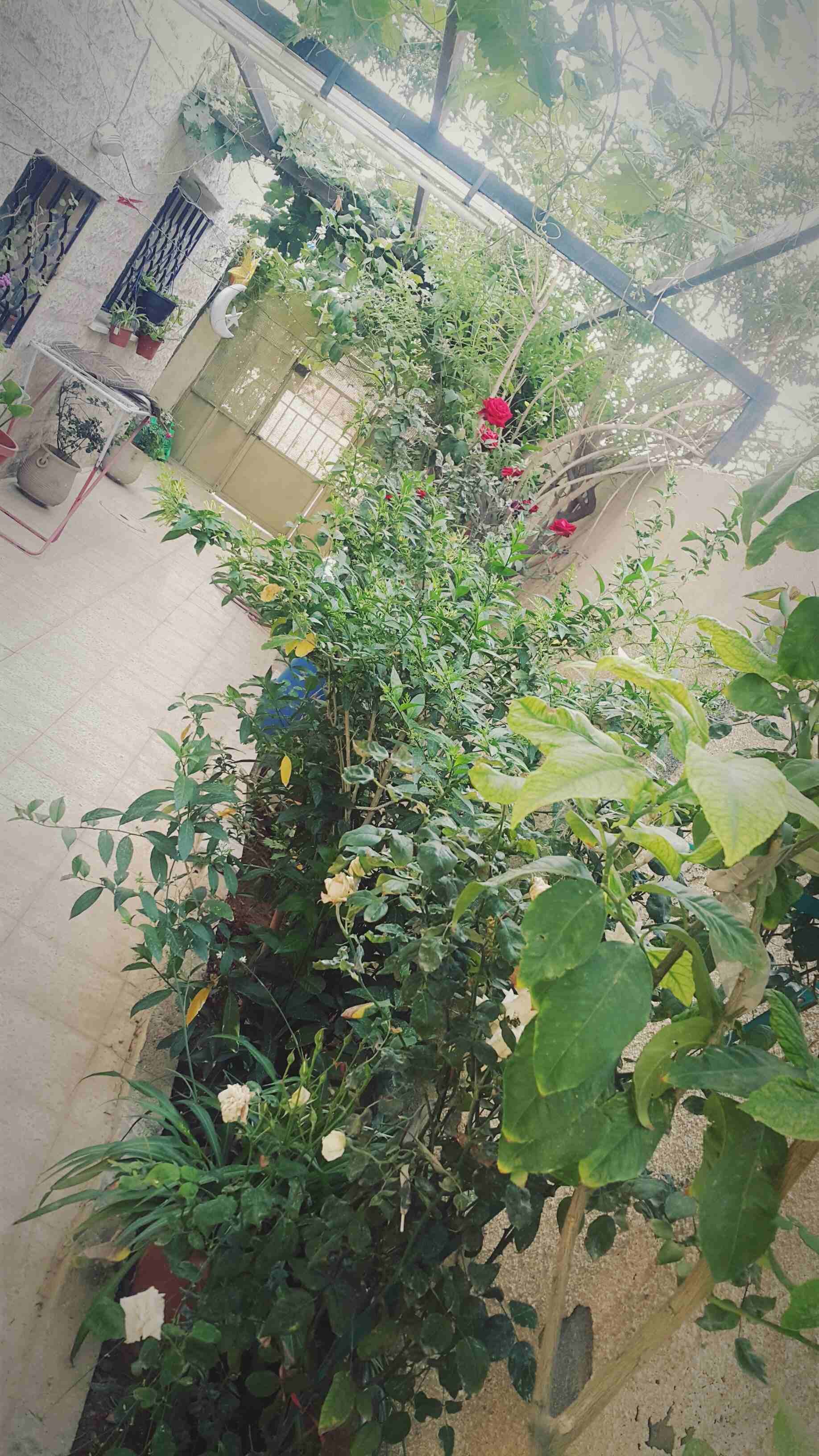 ابو علندا/الرقيم/خلف مطاحن زهرة المدائن شارع عبد الحميد الشوبكي
لا تنسَ أنك شاهدت هذا الإعلان في عنكبوت...