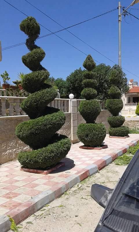 تنسيق حدائق
لا تنسَ أنك شاهدت هذا الإعلان في عنكبوت
تنسيق حدائق 0788445103
رقم الم...