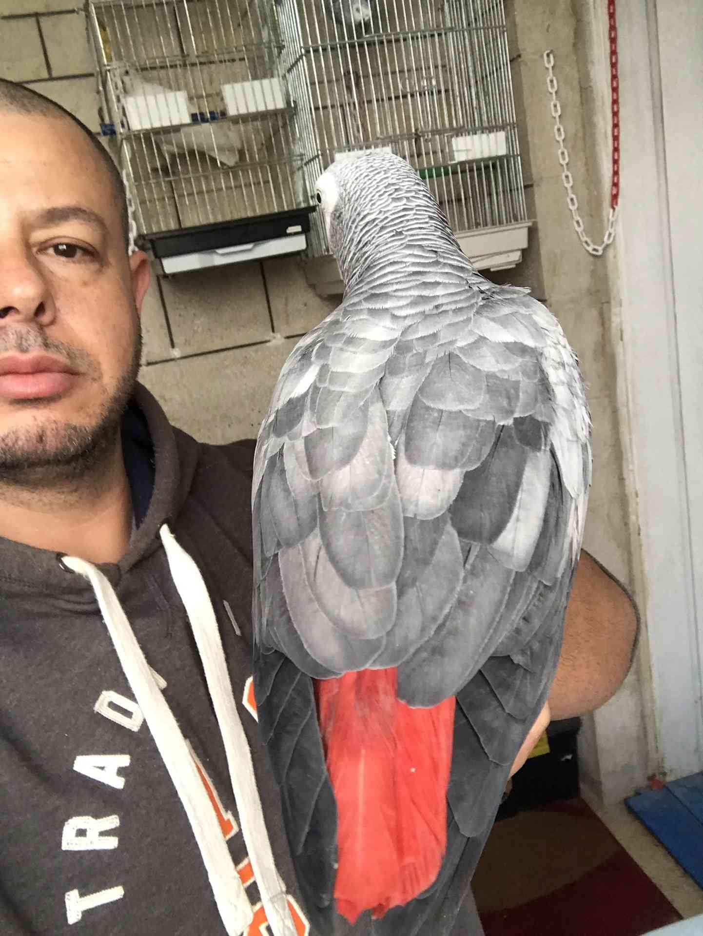 كاسكو لون صدفي اليف متكلم للبيع
لا تنسَ أنك شاهدت هذا الإعلان في عنكبوت
كاسكو عمرو سنه ونص ال...